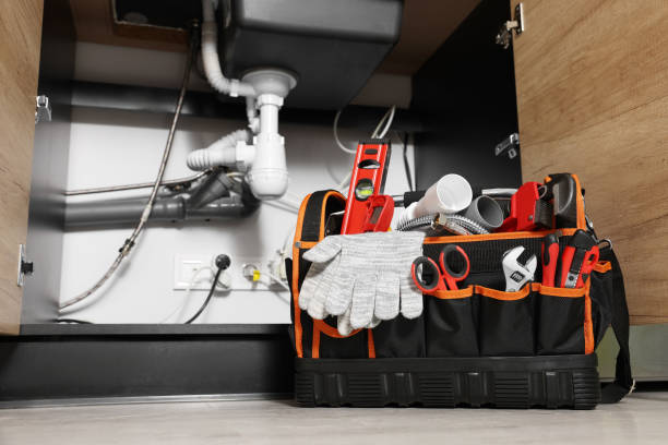 Best Clogged Drain Plumber  in Santa Rosa, NM